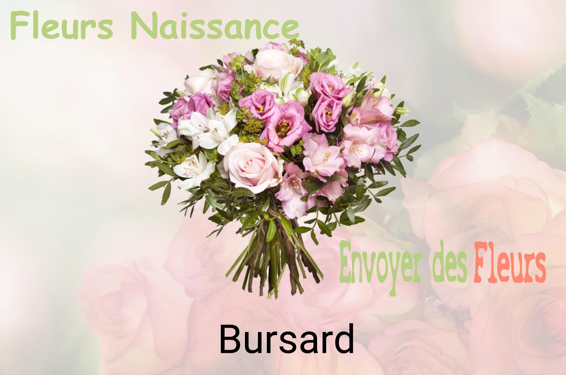 Bouquet de fleurs de naissance livré à Bursard