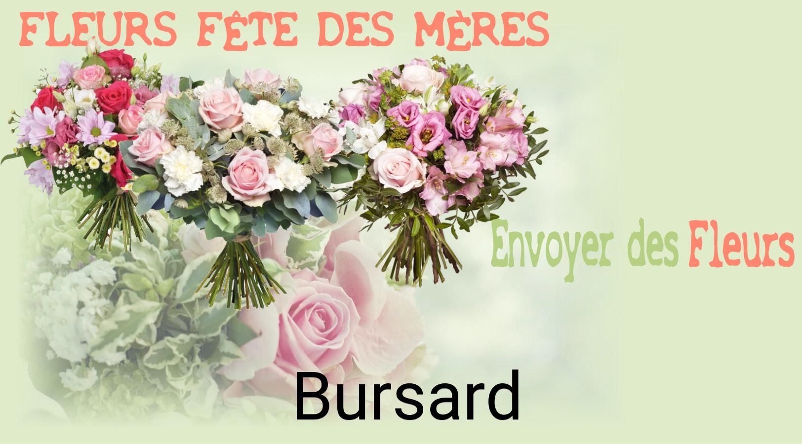 Bouquet de Fête des Mères livré à Bursard